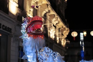 Nouvel an chinois 2019