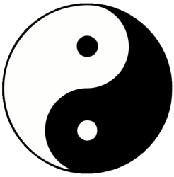 Conference_Yin-Yang_le_penser_par_deux_taiji_a_lendroit_1